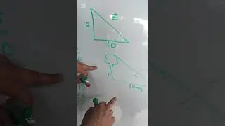 Teorema de Talles: semejanza y congruencias 