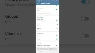 HOW TO STOP AUTO DOWNLOAD ON TELEGRAM