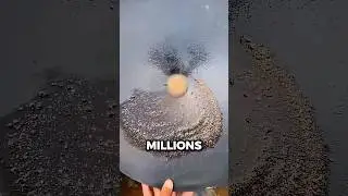 #йошо