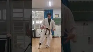 What is Gamaku? - The secrets of Okinawan Karate-