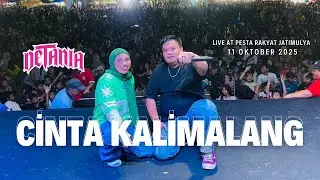 DETANIA - Cinta Kalimalang | Live Perform at Pesta Rakyat Jatimulya 2025