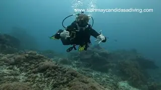 Candidasa Diving Service Learn key information about diving in Candidasa And Around With Us