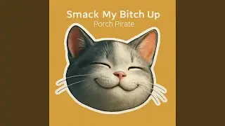 Smack My Bitch Up (Cover)