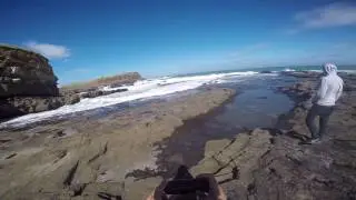#ScienceTheEarth Curio Bay Petrified Forest and Reserve New Zealand
