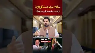 New Provinces in Pakistan | End of PML-N & PPP?