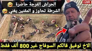 الشرطة تحاوز في الغاشي لاكن المقنين يفرض نفسه بسوق الحراش اليوم و الأخ توفيق يبيع السوفاج 8000 دج !؟