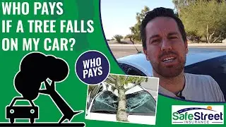 Who Pays If A Tree Falls On My Car?