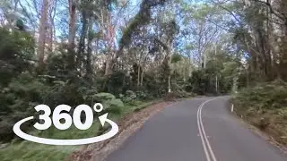 360&deg; | Springbrook Mountain Drive, Queensland Australia