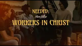 Needed: Motivated Mentors