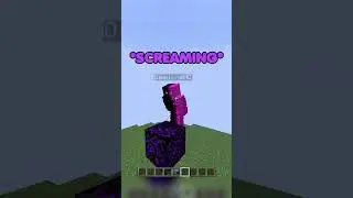 Здесь нельзя разговаривать #шорты #майнкрафт #minecraftshorts