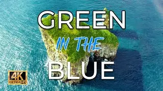 Green In The Blue Nature's Beauty 4K