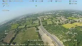 Killer Whale | Maidan | crashed | How tree can Save your Model #fixedwing #inav #atomrc #autolaunch
