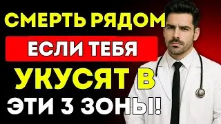 СМЕРТЕЛЬНЫЙ ЗУД 3 ЧАСТИ ТЕЛА, Которые Указывают на РАК ПЕЧЕНИ или ПОЧЕК