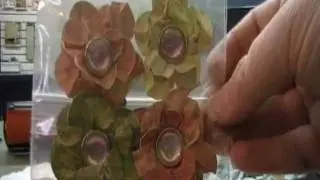 Handmade Paper Grunge Flowers