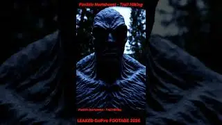 👤 Grey Humanoid Standing in Forest-REAL? #strangerthings #humanoid #alien #cryptid #paranormal #ufo