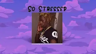 🎁 