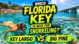 WHICH FLORIDA KEY IS BEST FOR SNORKELING FROM SHORE? KEY LARGO VS BIG PINE 🐠