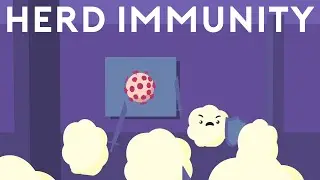 Herd Immunity and COVID 19 | When will we be Protected?