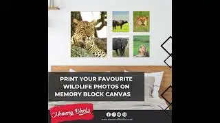 Memory Blocks: Game Lodge Canvas Prints