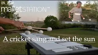 Blake Tyson - A cricket sang and set the sun (on Pearl malletSTATION)