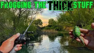 Clearlake Frog Fishing | Big Blow Ups and Big Bass | The Big Bass Capitol Is Back