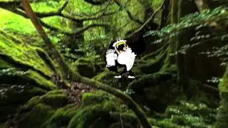 GoReallaCamp Intro