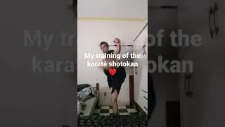my shotokan karate training to the sound of BTS