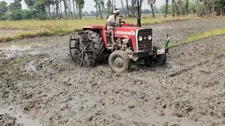 Massey Ferguson 241 DI Planetary Plus Rotavator work|Massey Ferguson|Shaktiman Rotavator|
