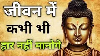 जीवन मैं कभी हार नहीं मानोगे l buddiest  inspiression story l budha motivational story l कहानी