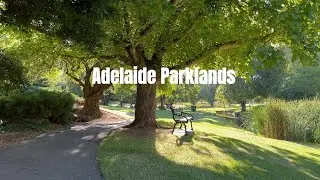 A relaxing evening in the ADELAIDE PARKLANDS with ambient sounds | Adelaide, South Australia (4K)