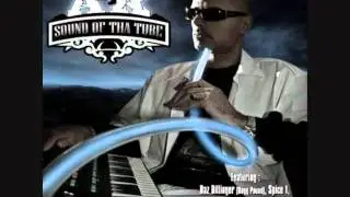 DJ AK - What Would It Be (Feat. Terry Troutman)