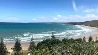 Kiwi Summer Calm 🌊 | Blue Seas, Gentle Waves & Birds in Gisborne
