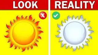 The Real Colour of the Sun is NOT Yellow!? ❌ &  More amazing Facts | FacTori 