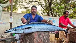 WORLD FASTEST FISH CUTTER (23kg giant kola fish🔥)slice peice cuts🔪kasimedu selvam fish cutting