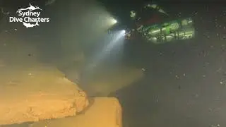 Technical scuba diving Sydney Coolooli ship wreck power plant room best dive site