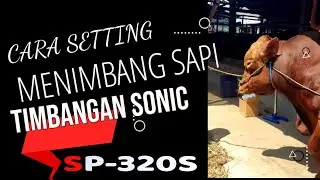 Setting buat timbangan sapi pada timbangan merk : SONIC  Type: SP-320S