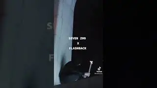 Seven Zoo x Flashback