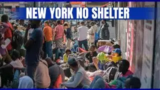 Homelessness in New York State: The is grappling with a growing homeless crisis in 2026