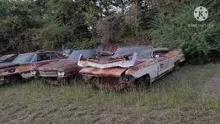 Resting Relics: 1950s and 1960s Cadillac salvage cars junkyard tour in Longview Texas