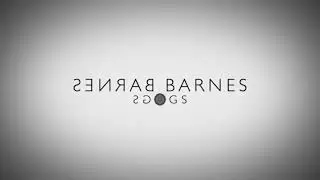 (RIP QUINCY DOG) Patrick Barnes Vlogs (2018) Effects (Sponsored By Preview 2 V17 Effects)