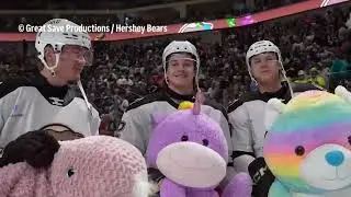 Hershey Bears' annual teddy and stuffed animal toss delivers bear necessities for charity