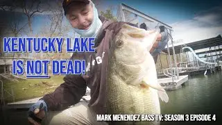 Mark Menendez Bass TV: Kentucky Lake IS NOT DEAD! (Spring Bass Fishing)