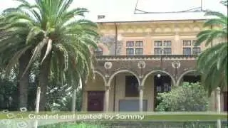 Asmara Street Views
