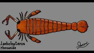 Tribute to eurypterid @LittleMunchyPuff 
