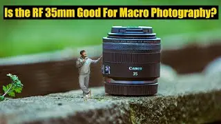 Is The Canon RF 35mm A Good Macro Lens?