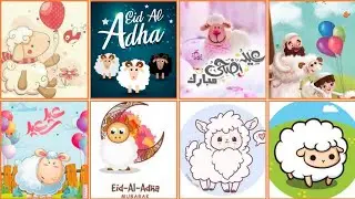 cute Eid dpz