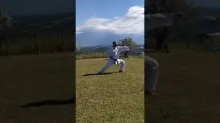 Heian Shodan - Shotokai EganiRyu Karate Union