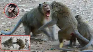 BEST MOM! APRIL MONKEY PROTECTED  BABY ANYA & OTHER HER CHILD