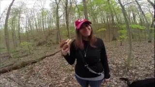 2016 Morel Hunting Teaser