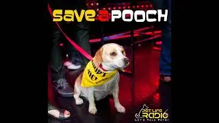 Save A Pooch - Episode 7 The Puppy Mill Project - Don't Shop, Adopt